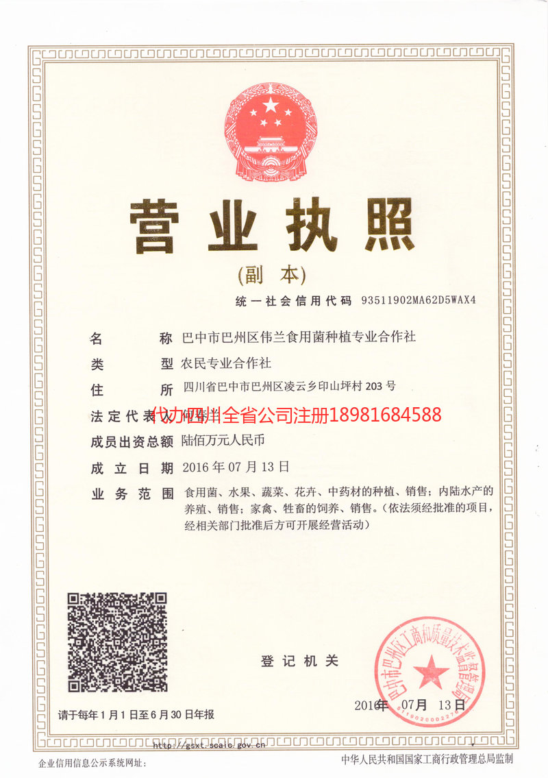 韶关韶关伟兰食用菌种植专业合作社